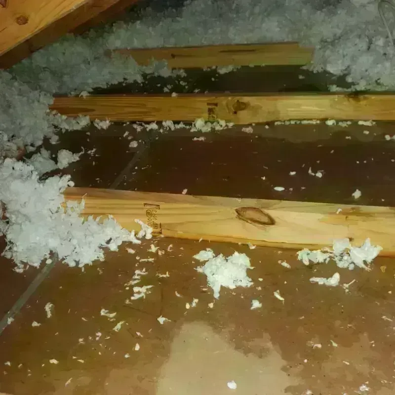 Attic Water Damage in McDonald County, MO