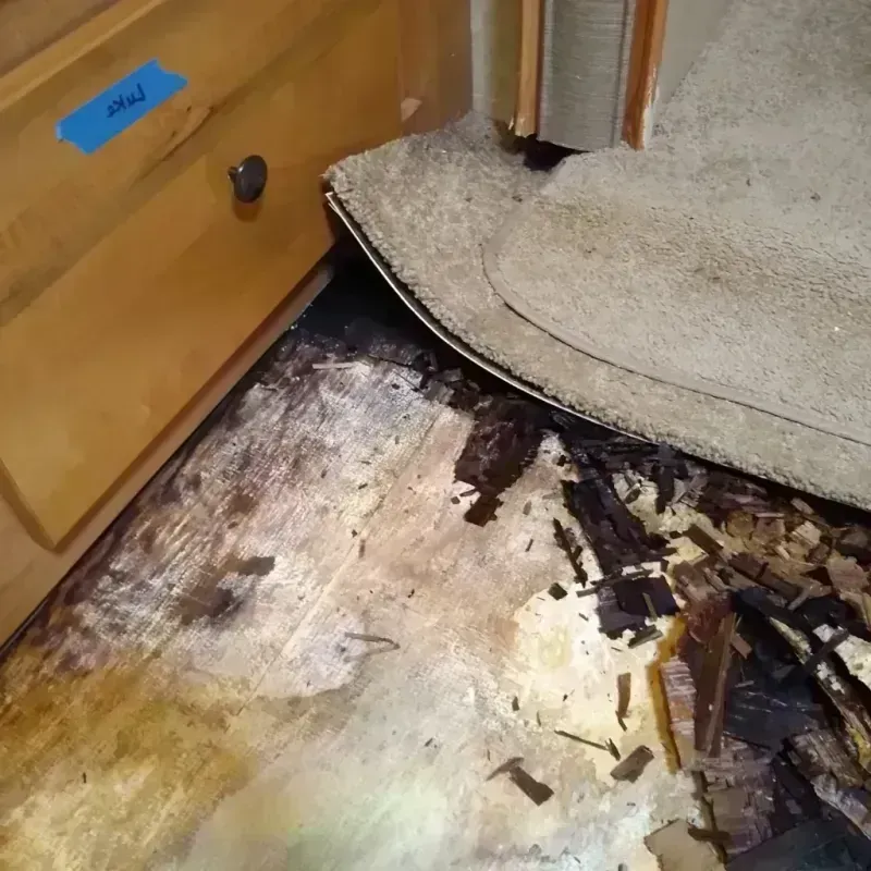 Best Wood Floor Water Damage Service in McDonald County, MO